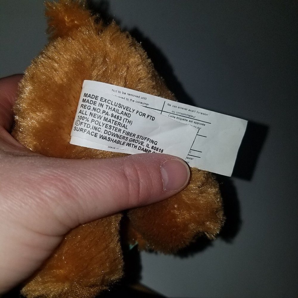 FTD Brown Teddy Bear Plush Small 6" Stuffed Animal Toy Elastic Band Gift - Picture 7 of 7